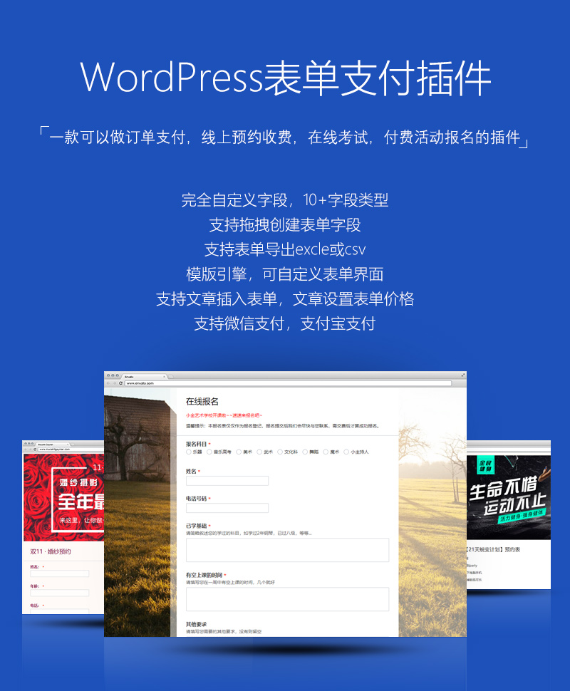 WordPress表单支付插件